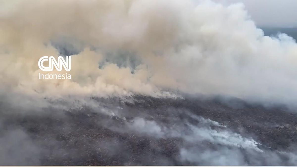 Ilustrasi berita Nasional: Melihat Asap Kebakaran Hutan Sumatera dari Udara