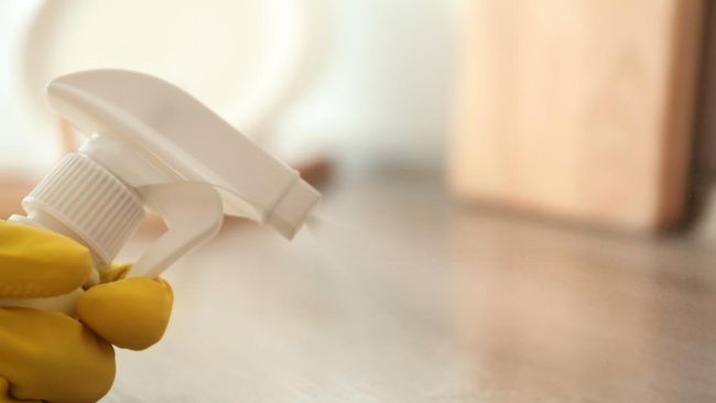 Cara Membasmi Rayap dengan Air Garam, Mudah Dicoba di Rumah