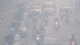 Kabut asap pekat akibat karhutla kembali menyelimuti Palembang, mengganggu aktivitas warga. Mereka mendesak pemerintah untuk lebih proaktif dalam penanganan.