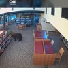 Momen Beruang Santai Masuk Perpustakaan di California