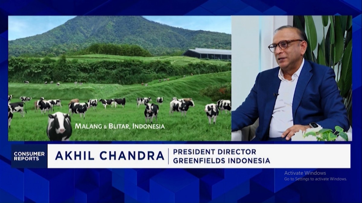 Video: Jurus Ekspansi Produsen Susu Lokal - Majukan Peternak Sapi UMKM
