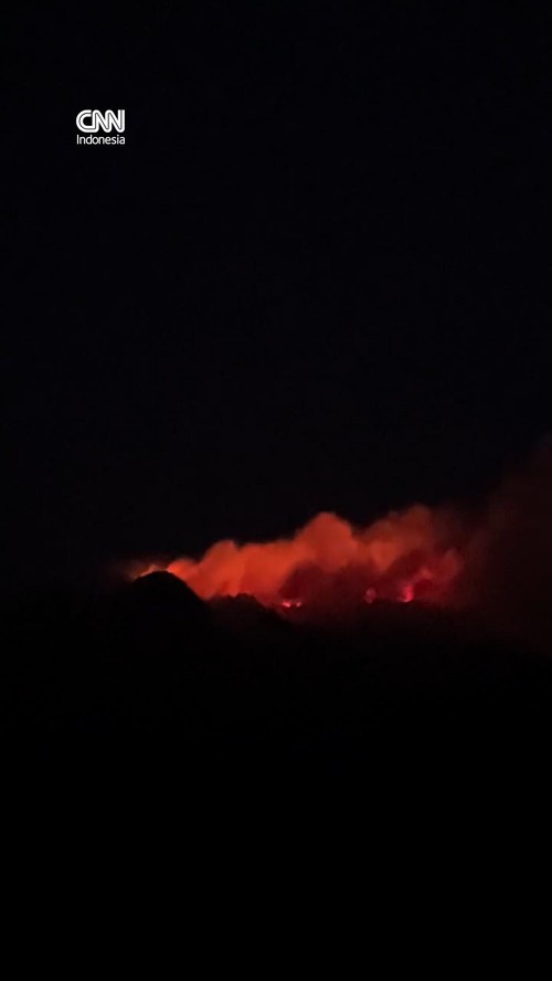 Penampakan Kebakaran Hutan Lereng Gunung Lawu