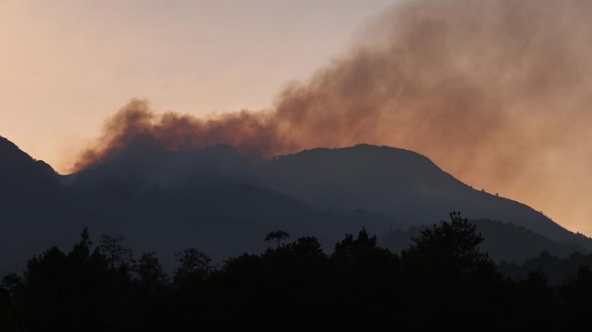 Kebakaran Gunung Arjuno, Lawu dan Sumbing Kian Meluas
