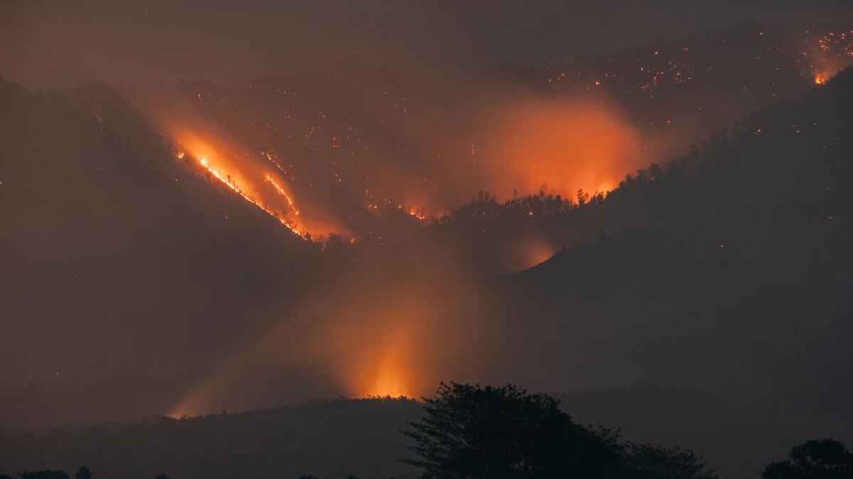 Kebakaran Gunung Arjuno, Lawu dan Sumbing Kian Meluas