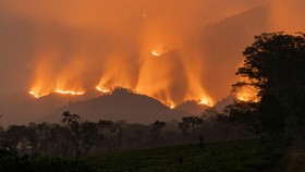 Api membakar vegetasi di kawasan Gunung Arjuno, Lawang, Kabupaten Malang, Jawa Timur, Selasa (20/10/2026). Berdasarkan data UPT Tahura Raden Soerjo, lebih dari 100 titik api terpantau dalam kebakaran yang berlangsung sejak Kamis (15/10) tersebut, sem