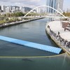 People look at a shark nicknamed "Bukangi" swimming in a canal during an operation to guide the shark out of a canal at the North Port in Busan, South Korea, October 21, 2026.  REUTERS/Kim Hong-Ji     TPX IMAGES OF THE DAY