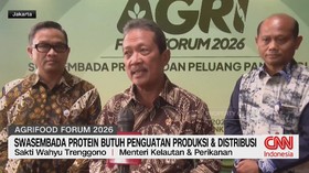 Swasembada Protein Butuh Penguatan Produksi & Distribusi
