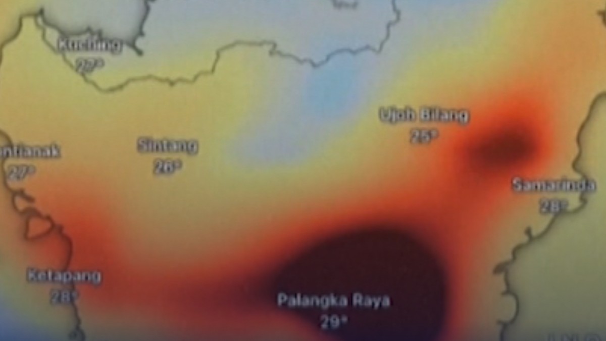 Video: 11 Korporasi Jadi Tersangka Karhutla, 3 Terafiliasi Asing!