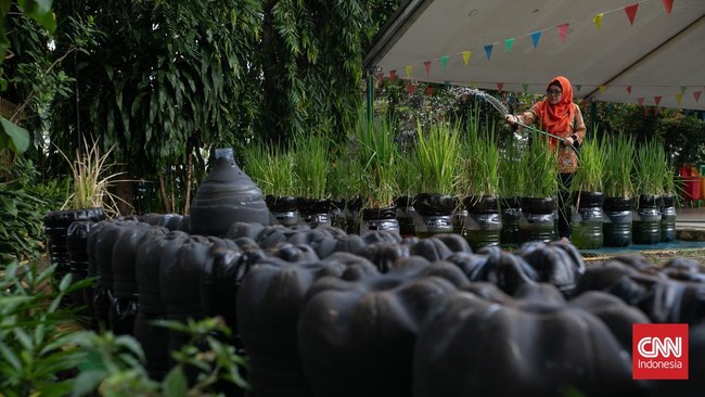 Pos Pelayanan Teknologi Tepat Guna (Posyantek) Kreya Loka Kelurahan Pasar Minggu menghadirkan inovasi budidaya padi di kawasan perkotaan dengan memanfaatkan 1.700 galon plastik bekas. Kegiatan ini dilakukan di Ruang Publik Terpadu Ramah Anak (RPTRA)