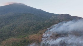 Karhutla melanda sejumlah gunung di Pulau Jawa, termasuk Gunung Ciremai di Jabar hingga Arjuno di Jatim.