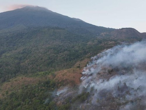 Karhutla melanda sejumlah gunung di Pulau Jawa, termasuk Gunung Ciremai di Jabar hingga Arjuno di Jatim.
