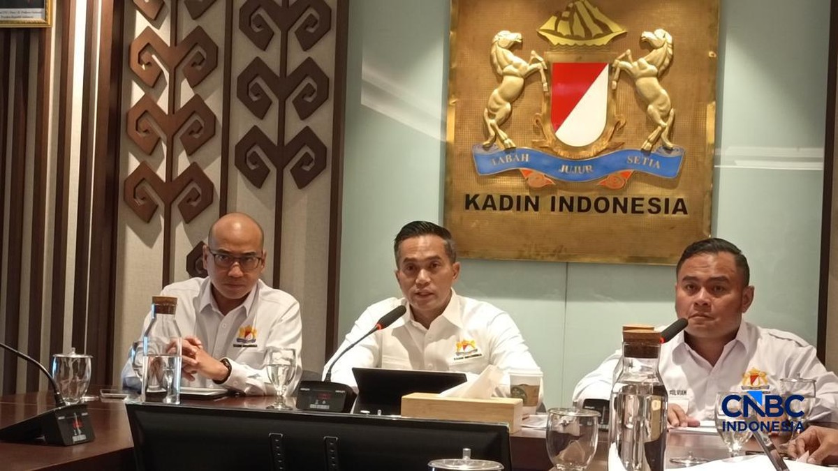 Anindya Bakrie Respons Keluhan Malaysia dan Singapura Efek Asap Karhutla
