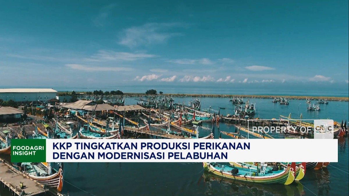 KKP Tingkatkan Produksi Perikanan dengan Modernisasi Pelabuhan