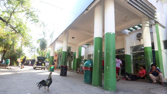 Kisah Ayam Jantan 8 Tahun Setia Menunggu Pemiliknya di Luar RS