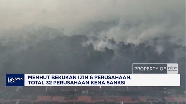 Menhut Bekukan Izin 6 Perusahaan, Total 32 Perusahaan Kena Sanksi