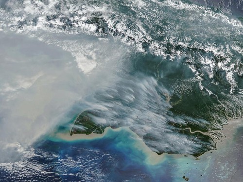 Satelit NOAA-20 menggunakan instrumen Visible Infrared Imaging Radiometer Suite (VIIRS) berhasil merekam kepulan asap tebal dari bagian selatan Pulau Papua pada 11 Oktober 2026