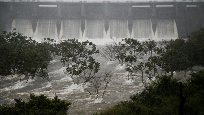 Trees downstream from the Acaray dam are flooded due to elevated water levels caused by heavy rains, in Hernandarias, Paraguay, October 22, 2026. REUTERS/Cesar Olmedo