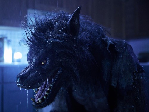 Film Werewolves (2024)