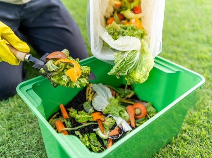 Cara Membuat Pupuk Organik Cair dari Sampah Dapur untuk Menyuburkan Tanaman