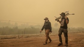 Kabut asap akibat kebakaran hutan di Indonesia mengancam ekosistem serangga penyerbuk kelapa sawit, berpotensi menurunkan hasil panen dan pasokan.