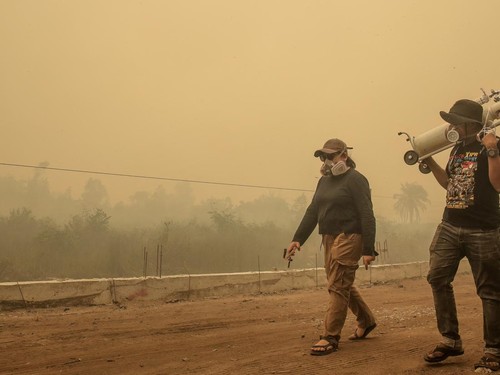 Kabut asap akibat kebakaran hutan di Indonesia mengancam ekosistem serangga penyerbuk kelapa sawit, berpotensi menurunkan hasil panen dan pasokan.