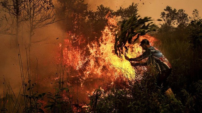 Lonjakan Titik Panas di Kalteng, Kabut Asap Pekat Membekap Palangka Raya