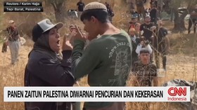 pemukim Israel, panen zaitun Palestina, pencurian hasil panen, kekerasan di Palestina, hak asasi manusia, konflik Israel Palestina, warga Palestina,
