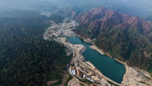 Satgas Penertiban Kawasan Hutan (PKH) menertibkan tambang ilegal seluas 275,36 hektare di Nabire, Papua Tengah, Kamis (22/10).