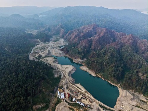Satgas Penertiban Kawasan Hutan (PKH) menertibkan tambang ilegal seluas 275,36 hektare di Nabire, Papua Tengah, Kamis (22/10).
