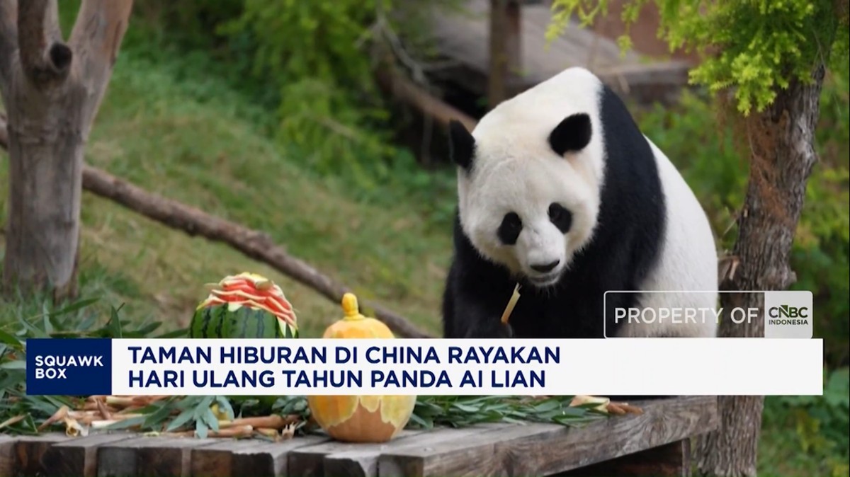Taman Hiburan di China Rayakan Hari Ulang Tahun Panda Ai Lian