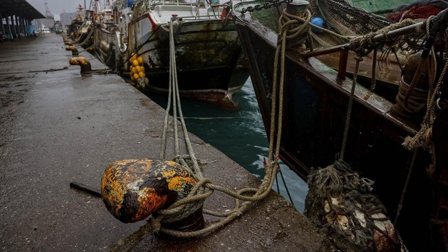 Fishing boats are moored at a fishing port as Typhoon Champi approaches Taiwan, in Keelung, Taiwan, October 23, 2026. REUTERS/Ann Wang