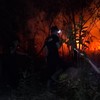 Warga di Kabupaten Kotawaringin Timur berjuang untuk memadamkan api kebakaran hutan dan lahan pada Jumat (23/10).