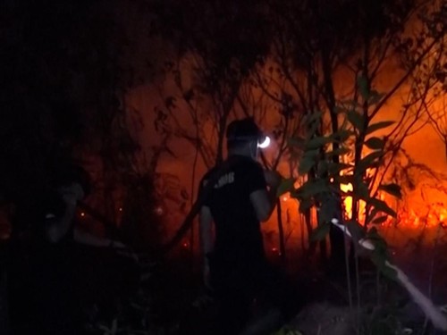 Warga di Kabupaten Kotawaringin Timur berjuang untuk memadamkan api kebakaran hutan dan lahan pada Jumat (23/10).