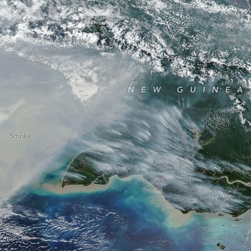 NASA Ungkap Kondisi Mengerikan Kebakaran Hutan di Papua, Jadi Garis Depan Deforestasi