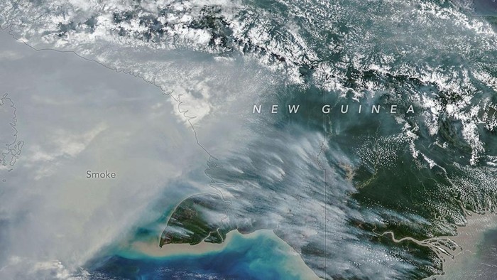 NASA Ungkap Kondisi Mengerikan Kebakaran Hutan di Papua, Jadi Garis Depan Deforestasi
