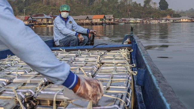 Petugas SPPG membawa paket Makan Bergizi Gratis (MBG) menggunakan armada perahu untuk didistribusikan ke tiga desa terluar di Maluku Utara.