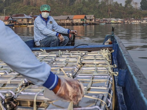 Petugas Satuan Pelayanan Pemenuhan Gizi (SPPG) membawa paket Makan Bergizi Gratis (MBG) mengunakan armada perahu untuk didistribusikan ke tiga desa terluar saat melintasi perairan Desa Bajo Kecamatan Botang Lomang, Kabupaten Halmahera Selatan, Maluku