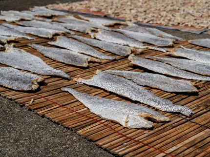 3 Fakta Ikan Asin Disemprot Cairan Pembasmi Serangga, Ini Peringatan BPOM          