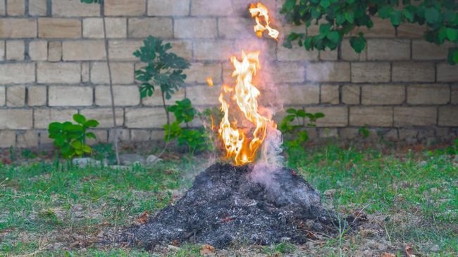 Cara Melaporkan Tetangga yang Bakar Sampah Sembarangan di Jakarta