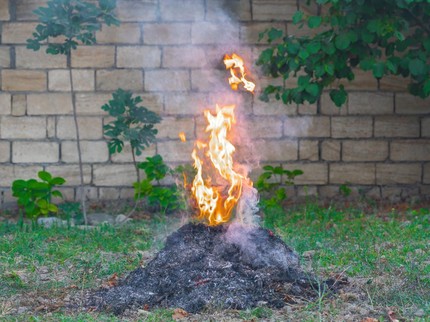 Cara Melaporkan Tetangga yang Bakar Sampah Sembarangan di Jakarta