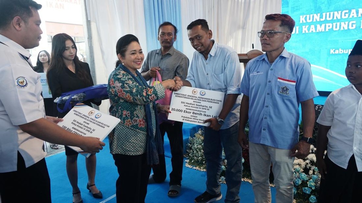 Dukung Budidaya Perikanan, KKP Salurkan 100 Ribu Benih Lele di Bantul - Infolitik