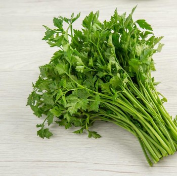 4 Manfaat Konsumsi Seledri yang Jarang Orang Tahu