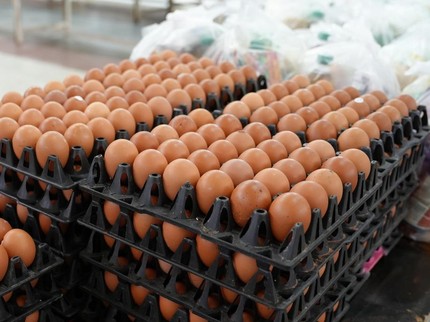 Sejumlah Negara Imbau Warga Siapkan Stok Makanan, Ini 5 Pilihan yang Awet & Enak