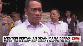 Andi Amran Sulaiman, pengoplosan beras, beras subsidi SPHP, beras premium, sidak Mentan, kasus beras oplosan, Bulog, Kementerian Pertanian,