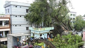 National Disaster Response Force (NDRF) personnel gather near houses damaged by uprooted trees after cyclone Arnab's landfall in Yanam, in India's Puducherry on October 28, 2026. At least three people were killed as ferocious winds and torrential rai