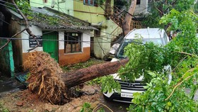 Sedikitnya lima orang tewas akibat terjangan siklon Arnab yang menyebabkan longsor di sepanjang pesisir India di wilayah selatan negara bagian Andhra Pradesh.