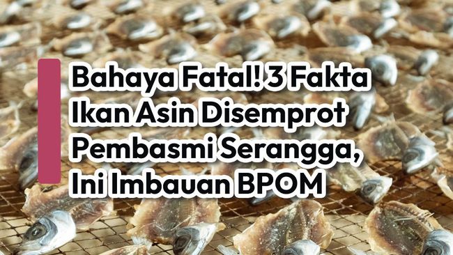 Bahaya Fatal! 3 Fakta Ikan Asin Disemprot Pembasmi Serangga, Ini Imbauan BPOM