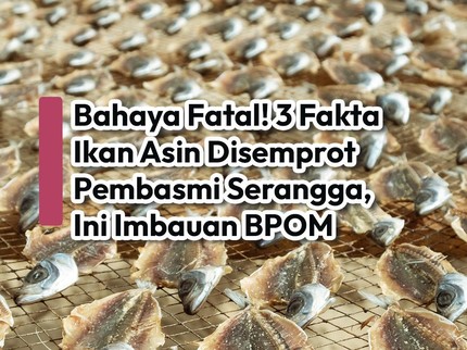 Bahaya Fatal! 3 Fakta Ikan Asin Disemprot Pembasmi Serangga, Ini Imbauan BPOM
