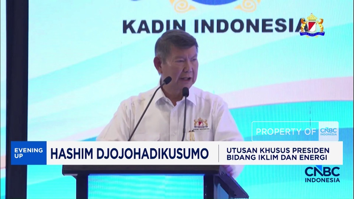 Video: Hashim Dapat Mandat Antisipasi Penurunan Status Bursa Indonesia