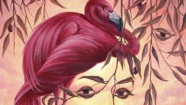 Tes Kepribadian: Gambar Wajah Perempuan atau Flamingo yang Kamu Lihat Pertama? Ini Artinya…